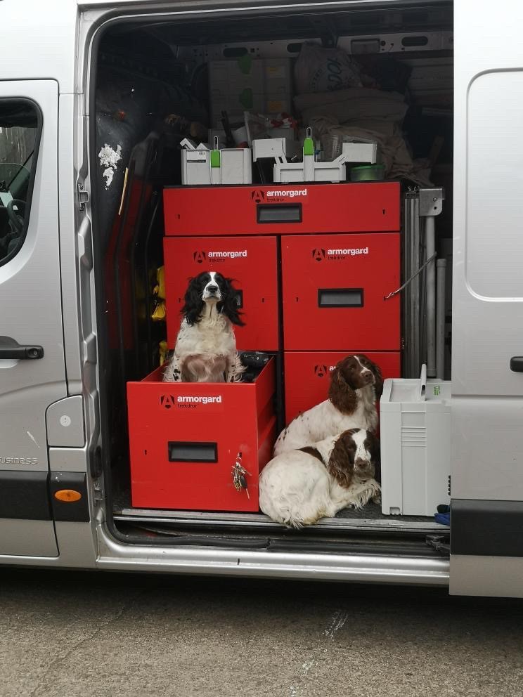 a set of 5 armorgard trekdrors four of which are squared ones 2 up and 2 across and one is a rectangular one placed on top of the square ones, this is in a van with the sliding door open, there is one white and black dog sitting in one of the open trakdror and then there is two white and brown dogs laying on the van floor
