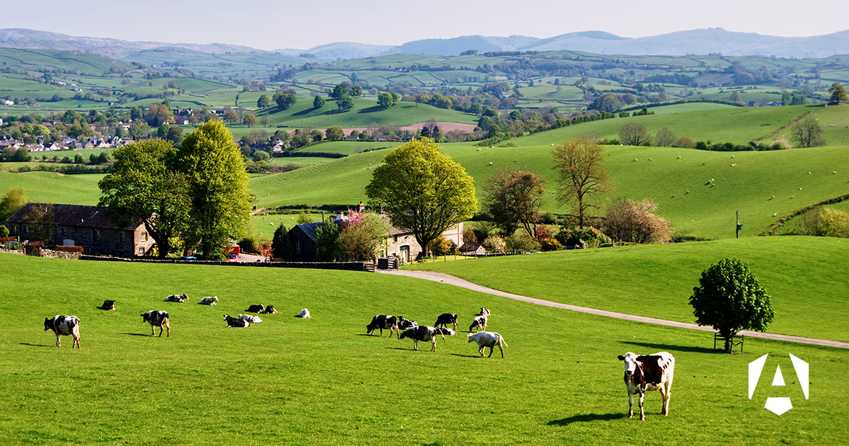 Rural countryside showing a lot greenery and a small village in the background and also winding green hills in the distance. Up close there some trees and a few buildings as well as cows on a field
